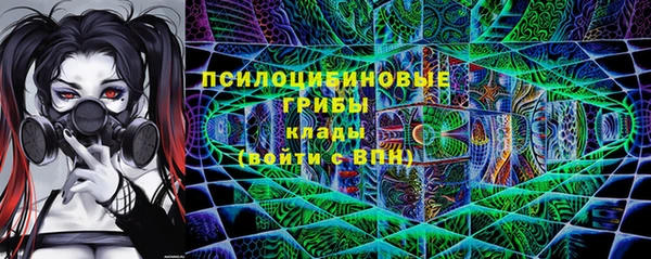 гидра Новозыбков