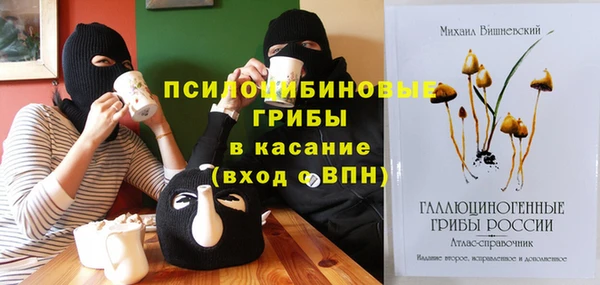 ешки Няндома