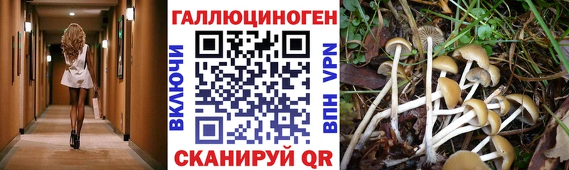 магазин продажи наркотиков Катав-Ивановск дарк нет официальный сайт Галлюциногенные грибы мухоморы